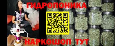 ГАЛЛЮЦИНОГЕННЫЕ ГРИБЫ Аша