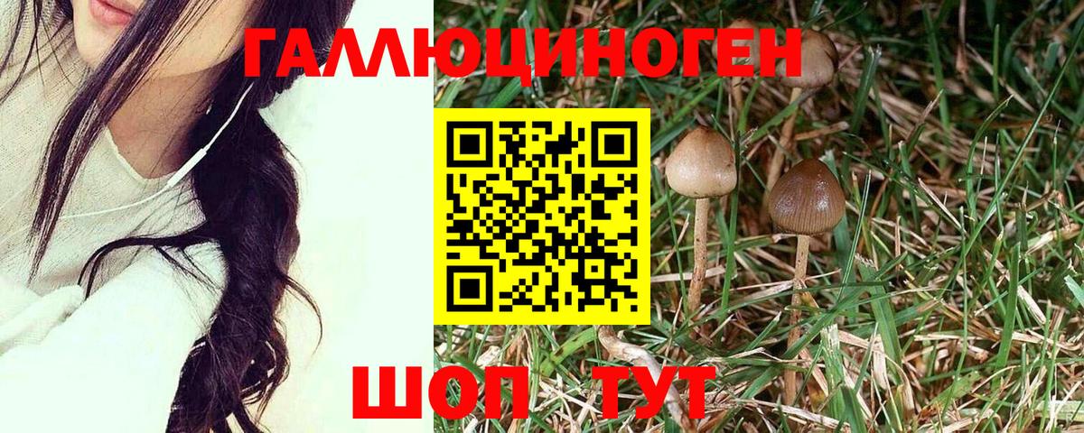 Галлюциногенные грибы прущие грибы  Галлюциногенные грибы MAGIC MUSHROOMS  Горячий Ключ  Вход с VPN 