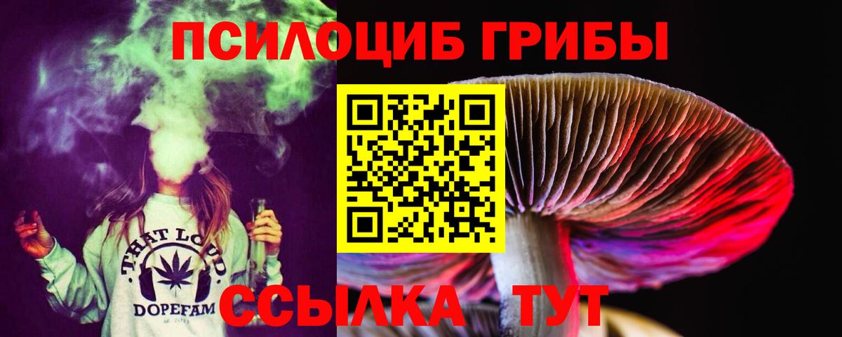 Псилоцибиновые грибы Psilocybe Горячий Ключ